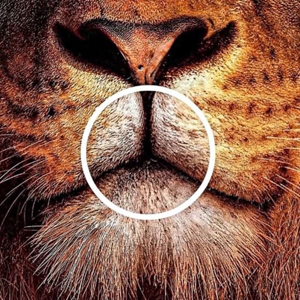 Η διαφημιστική καμπάνια φίρμας αυτοκινήτων που έγινε viral