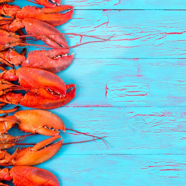 Γιατί ο αστακός πρέπει να μαγειρεύεται ζωντανός