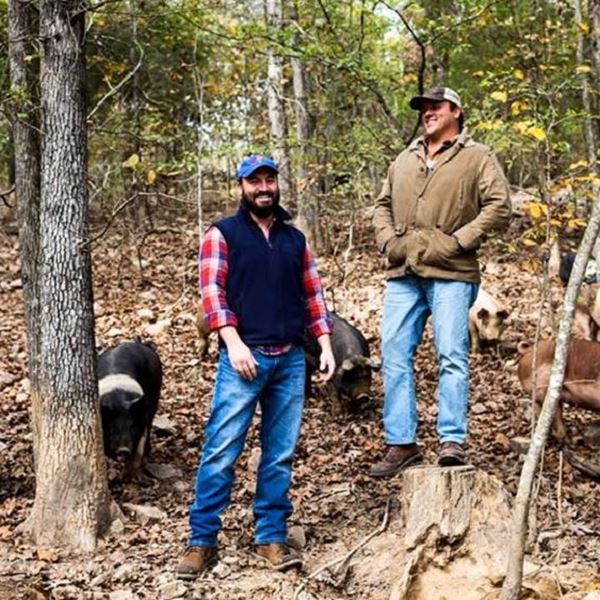 3 start-ups ανθίζουν εν μέσω πανδημίας