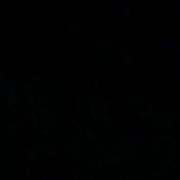 Το Instagram "μαύρισε" για τη δολοφονία του George Floyd