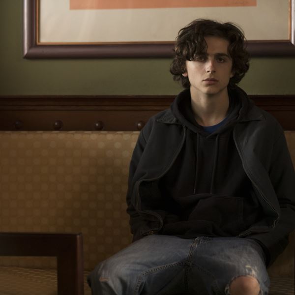 Θα είναι το 2019 η χρονιά του Timothée Chalamet;