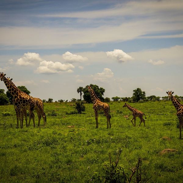 Τι μαθαίνεις κάνοντας φωτογραφικό σαφάρι στην Αφρική και μερικές υπέροχες εικόνες
