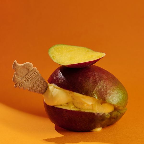 Η Δωδώνη... παγώνει το χρόνο με 4 νέες μοναδικές γεύσεις παγωτού