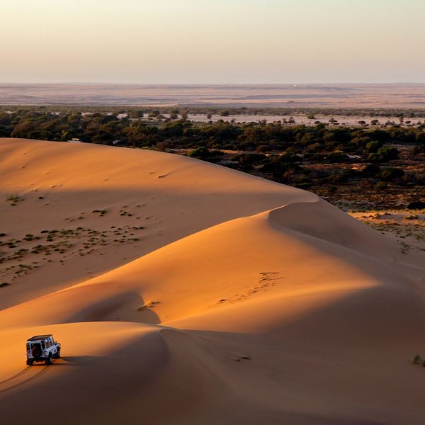 8 πολύ καλοί λόγοι για ένα ταξίδι στα Ηνωμένα Αραβικά Εμιράτα