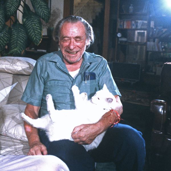 Πρώτο trailer για το You Never Had It – An Evening with Bukowski