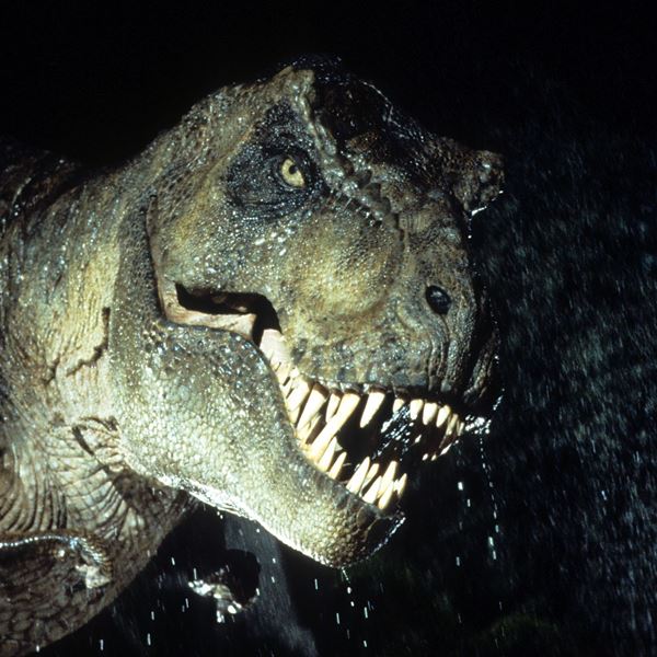 Σκελετός τυραννόσαυρου ηλικίας 67 εκ. ετών βγαίνει στο σφυρί