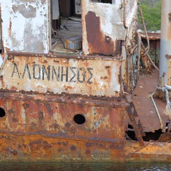 Η φώκια Κωστής έγινε ντοκιμαντέρ