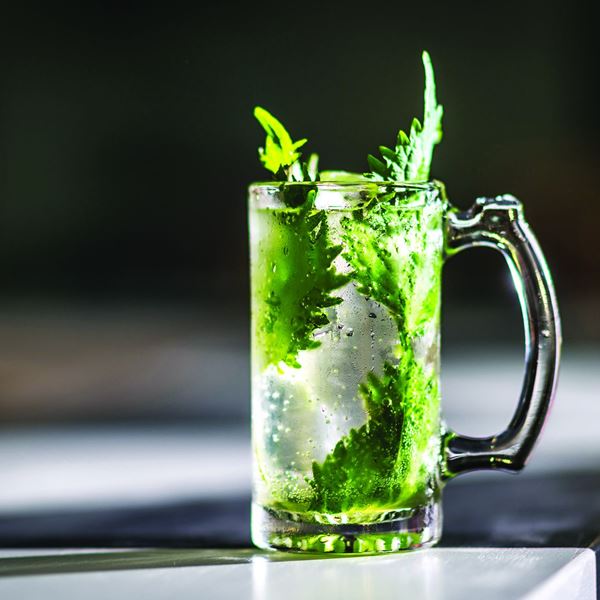 Οι μεγάλες προσδοκίες του highball