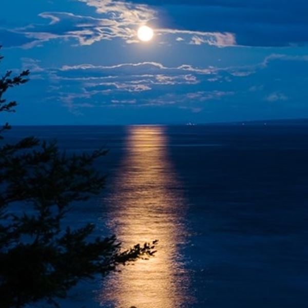 Η αληθινή ιστορία του βρικόλακα της Μυκόνου