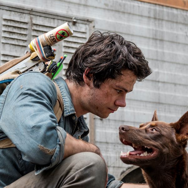 Οι καλύτερες ταινίες του Netflix αυτή τη στιγμή