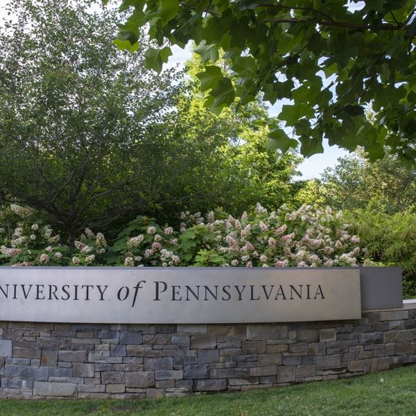 Τα κορυφαία πανεπιστήμια που παράγουν δισεκατομμυριούχους