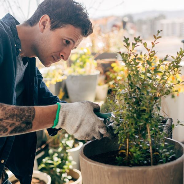 Κηπουρική, η νέα ψυχοθεραπεία