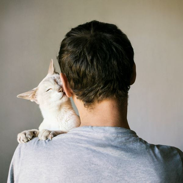 Kama muta, το νέο συναίσθημα που περιέγραψαν για πρώτη φορά οι επιστήμονες