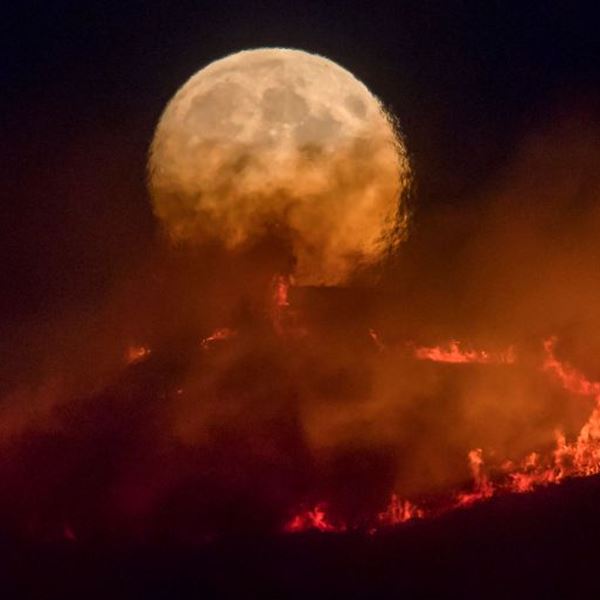 Μόλις 12 χρόνια απέμειναν για να σωθεί ο πλανήτης