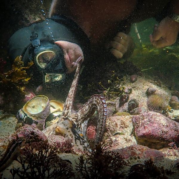 Δεν περιμένεις να κλάψεις με ένα ντοκιμαντέρ για χταπόδι αλλά θα συμβεί