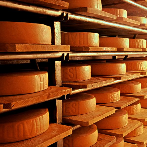 Στην Αμερική έσπασαν κάθε ρεκόρ στην παραγωγή τυριού