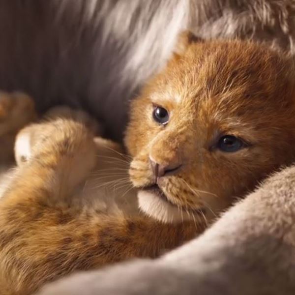 Πρώτο teaser για το Lion King του Jon Favreau