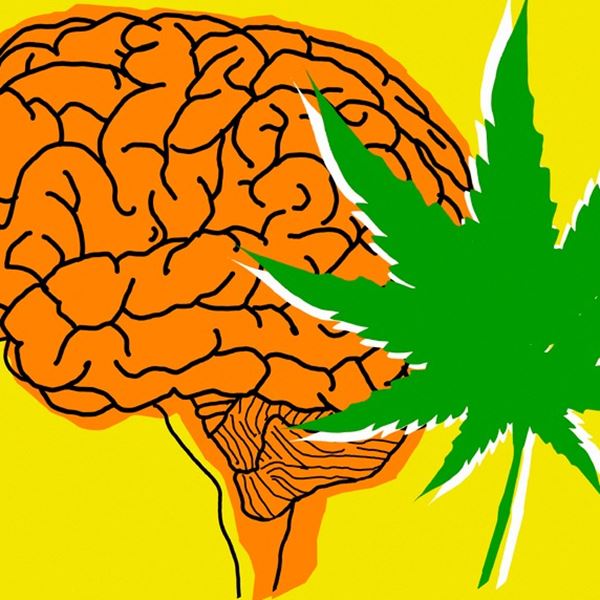 Όσα πρέπει να γνωρίζεις για την κάνναβη