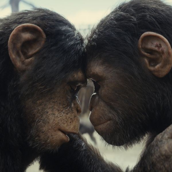 Πρώτο trailer για 'Το Βασίλειο του Πλανήτη των Πιθήκων'