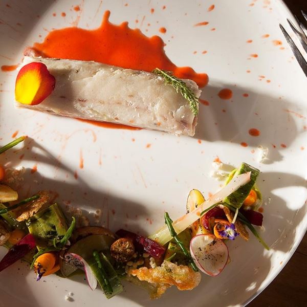 Χρυσοί Σκούφοι 2022: Τα καλύτερα εστιατόρια της Ελλάδας