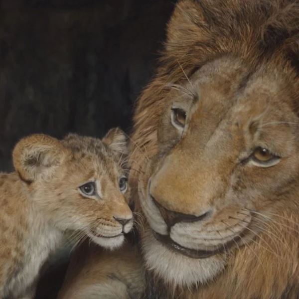 Τι λένε οι κριτικές για την ταινία Mufasa: The Lion King