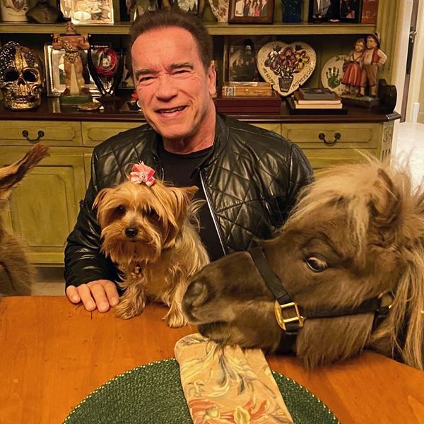 Celebrities σε καραντίνα, οι φωτογραφίες