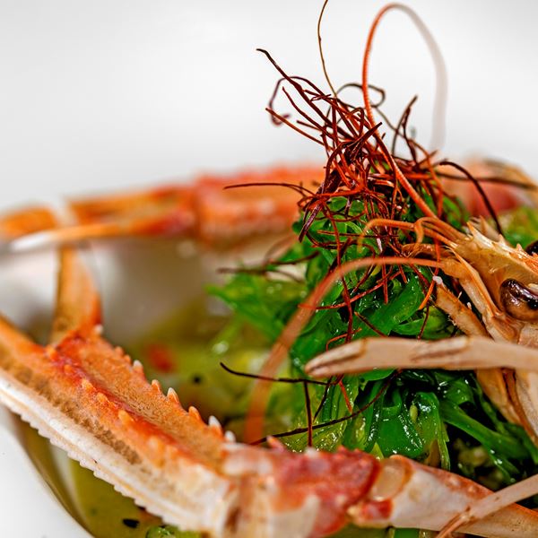 Ακροβόλι: Εκλεκτή ψαροφαγία στα νότια προάστια