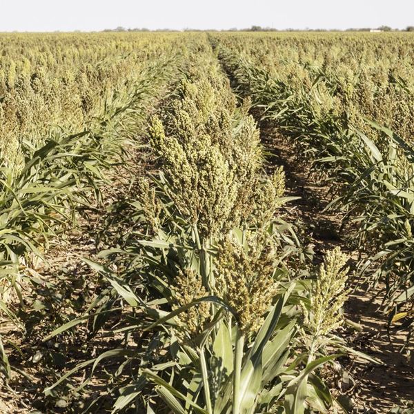 Οι προμήθειες του πλανήτη τελειώνουν και όλοι γνωρίζουμε ποιος φταίει