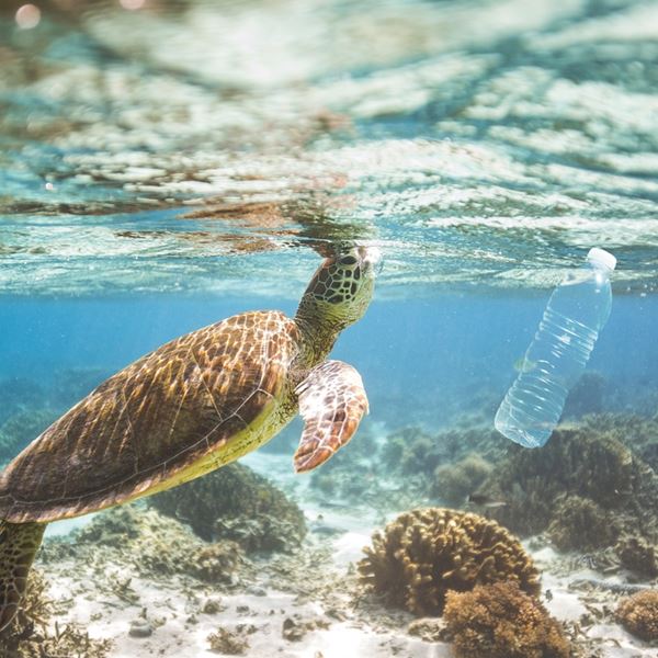 Πόσα πλαστικά υπάρχουν στη θάλασσα-Ο σοκαριστικός αριθμός