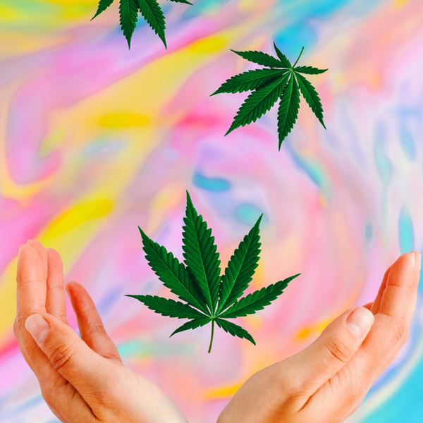 Κάνναβη για καλύτερο σεξ. Ή μήπως όχι;