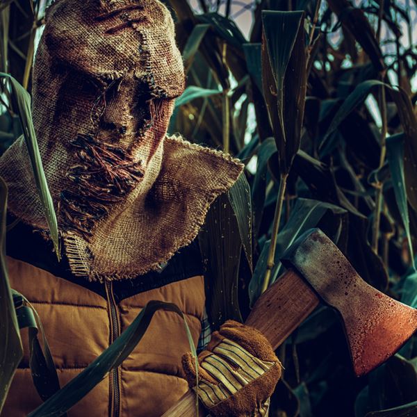 Ρεκόρ δολοφονιών υπέρμαχων του περιβάλλοντος