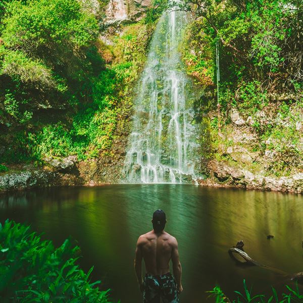 Τα αιθέρια έλαια είναι η καλύτερη εναλλακτική στα αρώματα