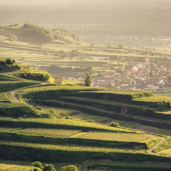 Η πιο πράσινη φουτουριστική πόλη της Ευρώπης