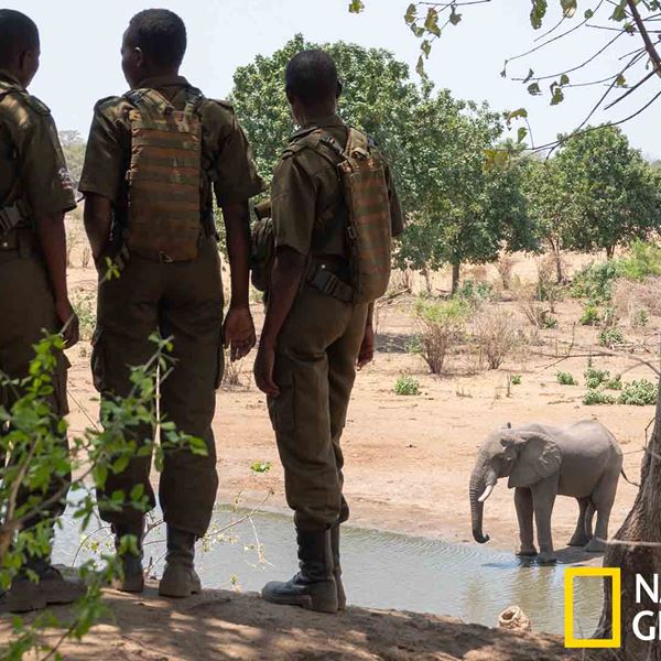 Ο James Cameron γύρισε ντοκιμαντέρ για την λαθροθηρία ελεφάντων