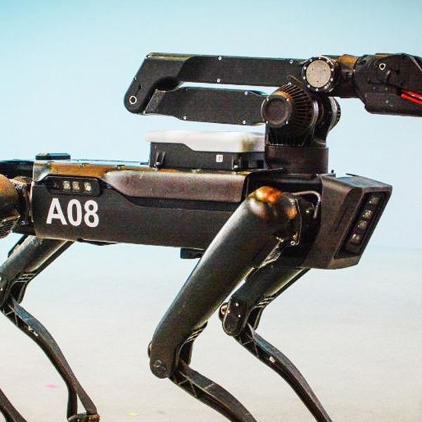 Το πρώτο ρομπότ-κατοικίδιο είναι γεγονός