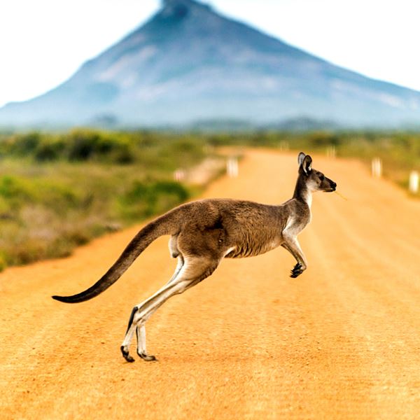 Η Αυστραλία θέτει στόχο να φθάσει στην κλιματική ουδετερότητα το 2050