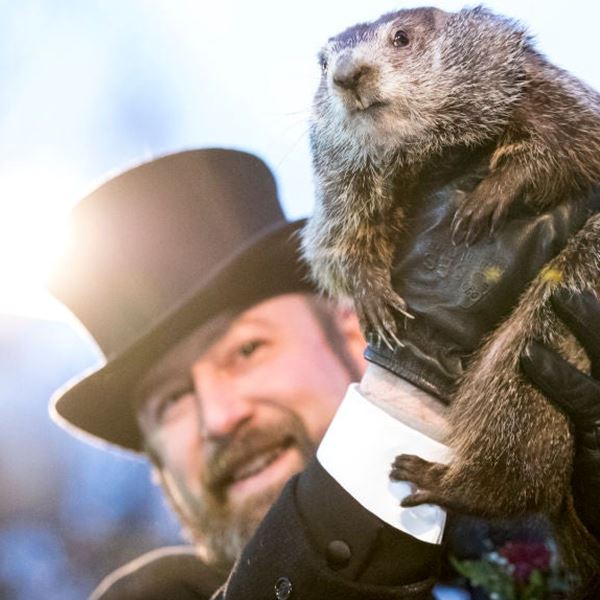 Αλήθεια, γνώριζες τι είναι η Μέρα της Μαρμότας;