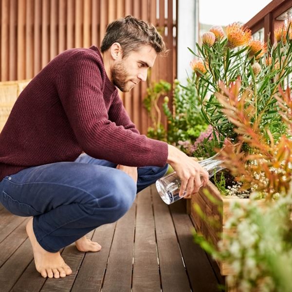 Πώς θα επιβιώσουν τα φυτά σου όσο λείπεις διακοπές