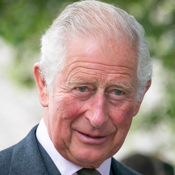 Ποιον αφορά το στυλ του βασιλιά Καρόλου;