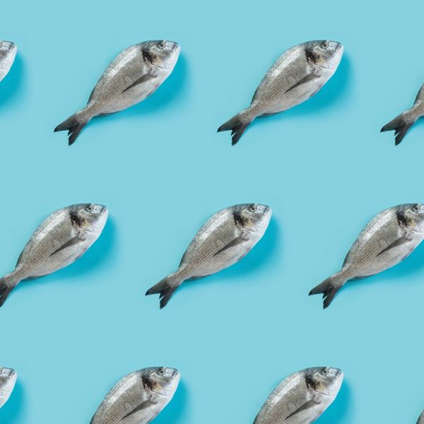 Η καλύτερη περίοδος για να φας ψάρι