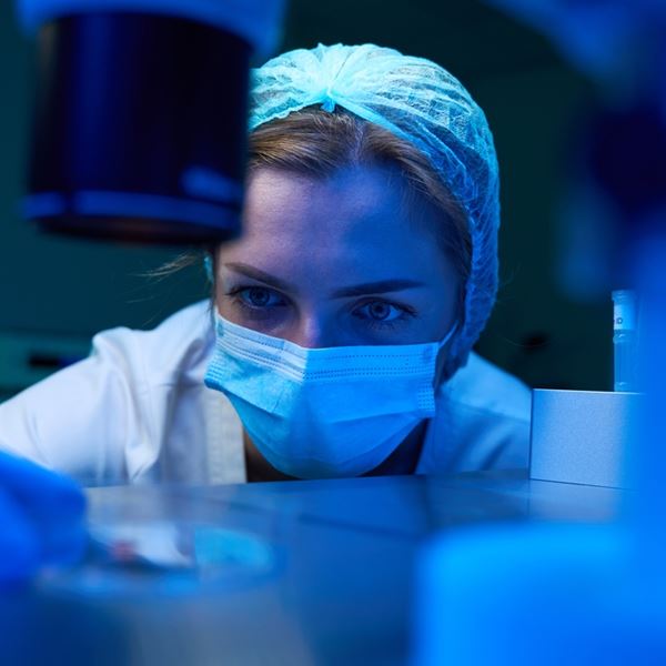 Σε άλλα νέα, επιστήμονες δημιούργησαν πρότυπο έμβρυο χωρίς ωάριο και σπέρμα