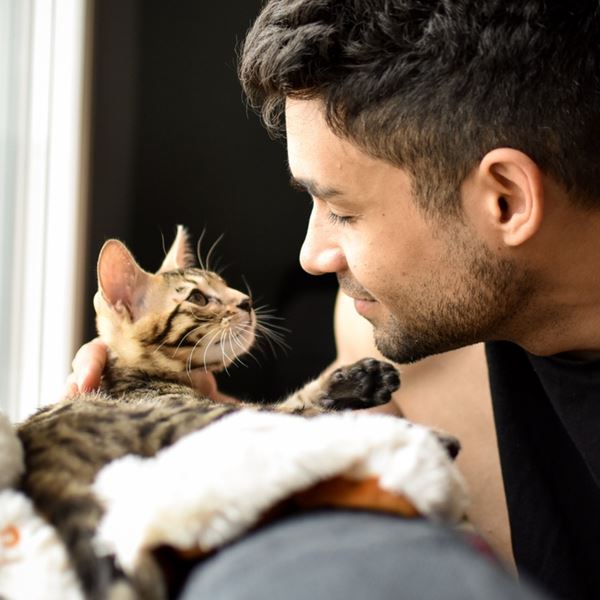 Πώς να μιλήσεις στη γάτα σου σύμφωνα με την επιστήμη